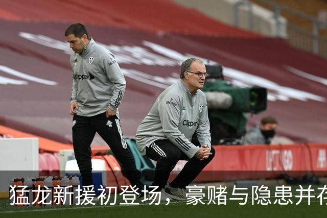 猛龙新援初登场，豪赌与隐患并存