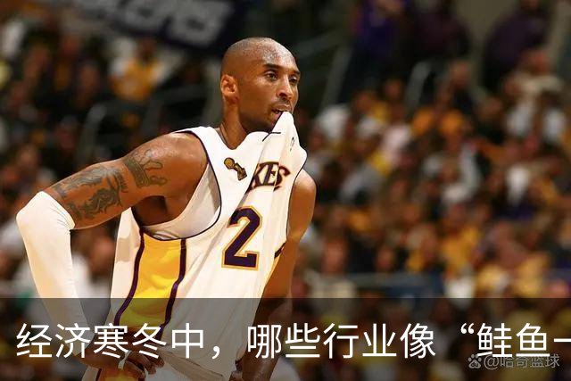 经济寒冬中，哪些行业像“鲑鱼一样逆流而上”？